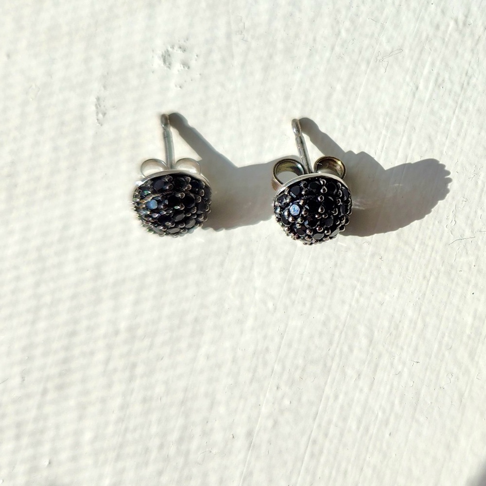 Elegant Black Stud Earrings